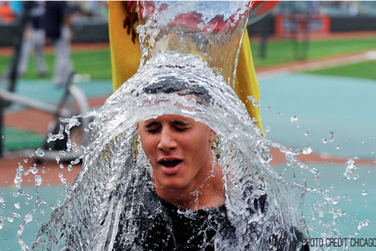 The Role of Gut Flora in Health • Paleo Foundation