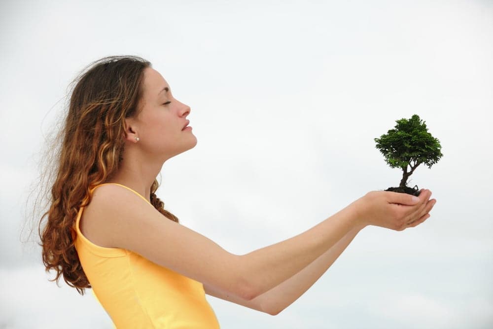 Paleo: A Guide to Spiritual & Intellectual Growth