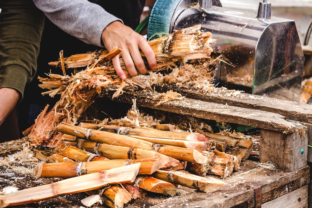 Paleo Foundation Adds Pressed Cane Juice to Certified Paleo Standards