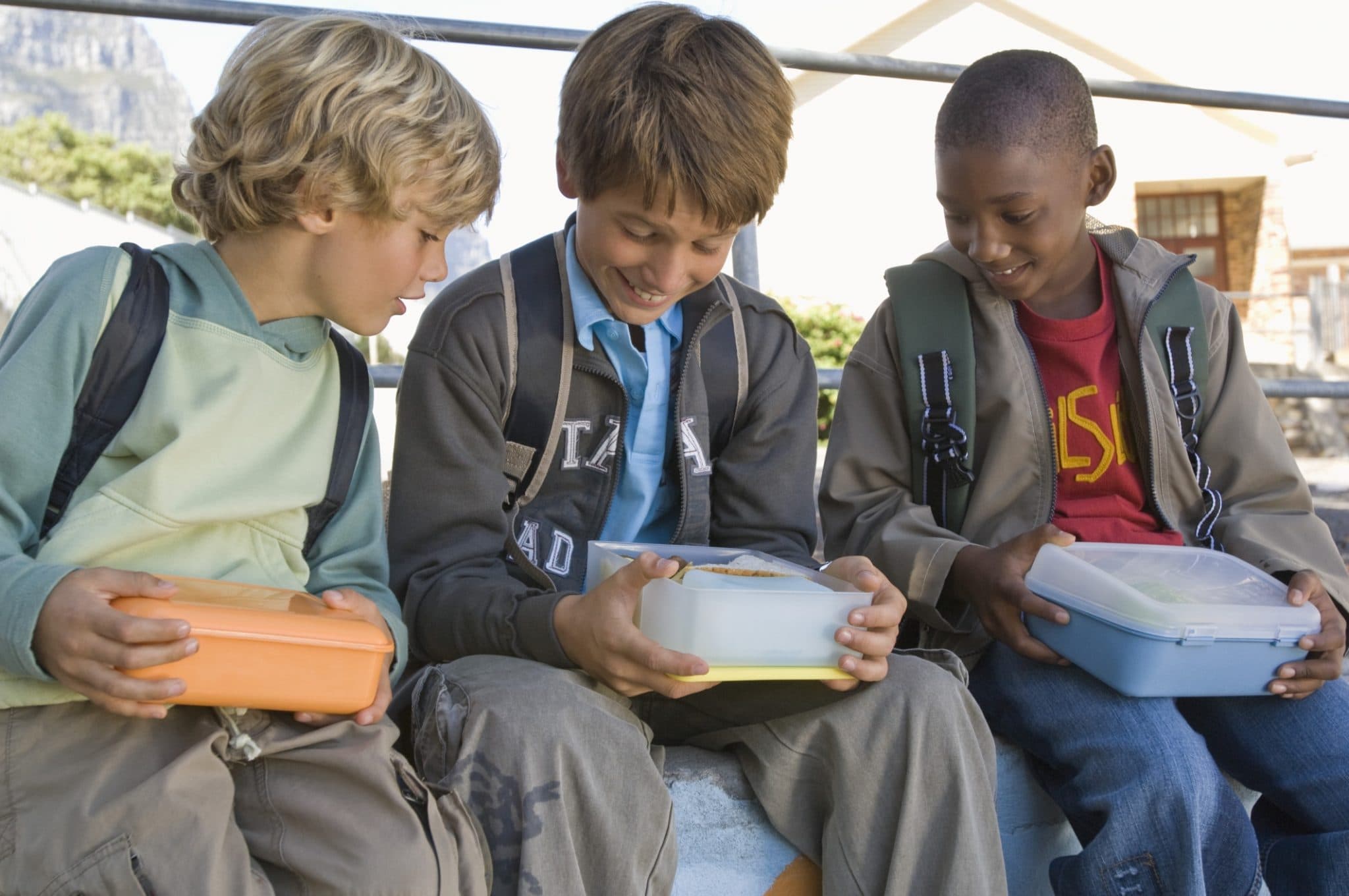 Navigating Junk Food, Snacks, and Child Food Sensitivities in School