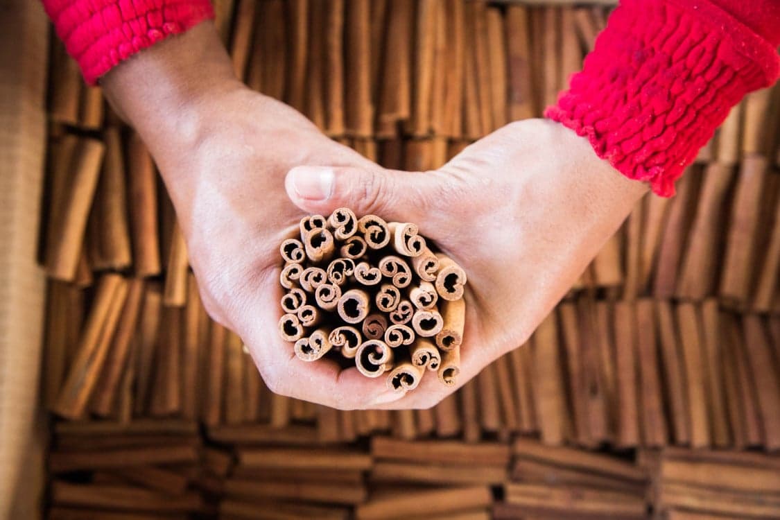 Ceylon vs Cassia : 9 Important Things to Know about Cinnamon