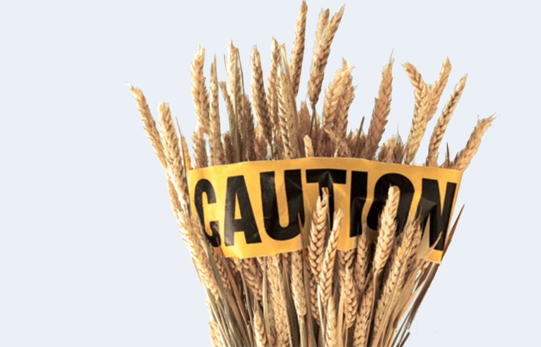 5 Common Symptoms of Gluten Intolerance