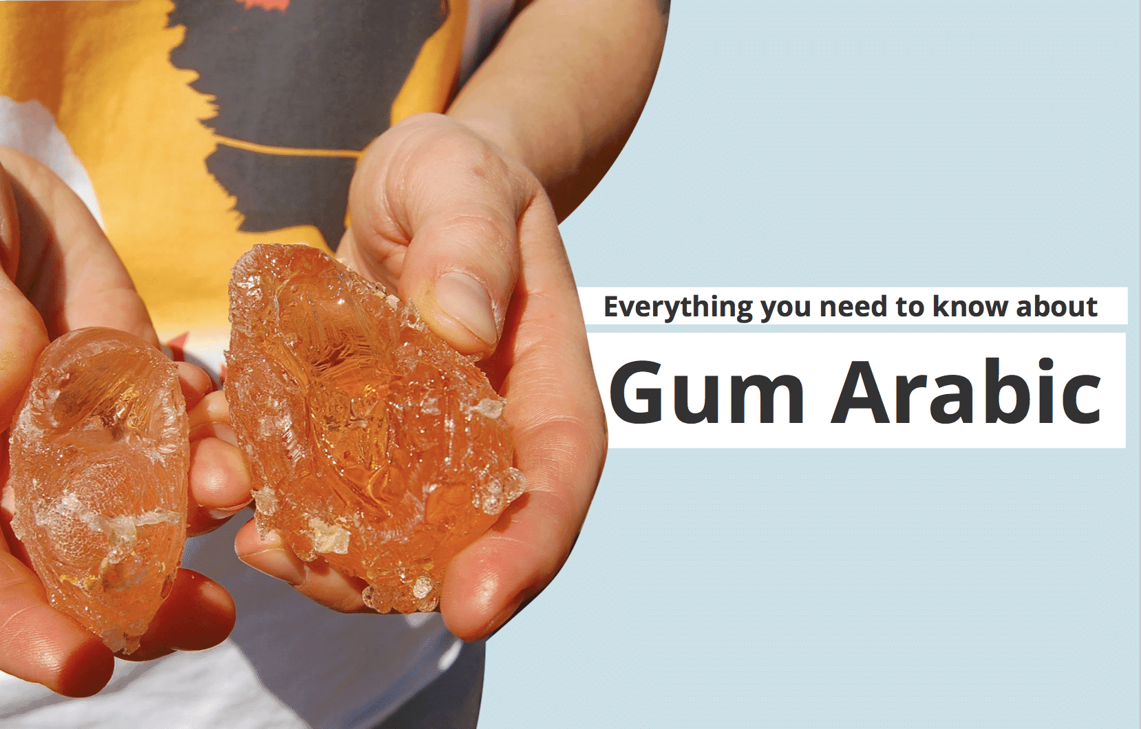 Gum Arabic: Everything You Need to Know