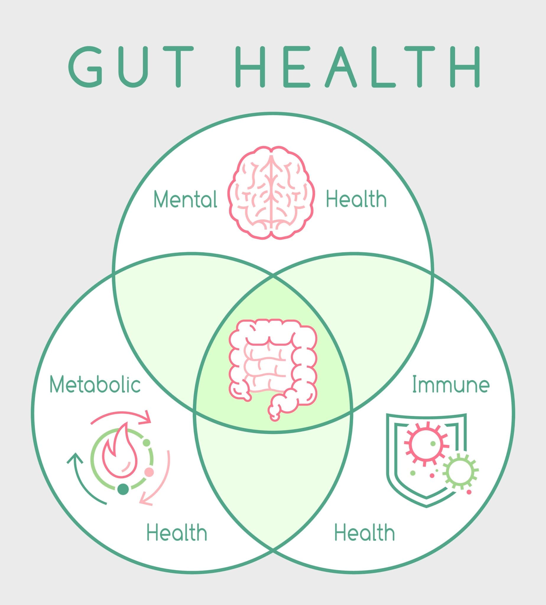 Gut Microbiome Research and the Health Food Industry