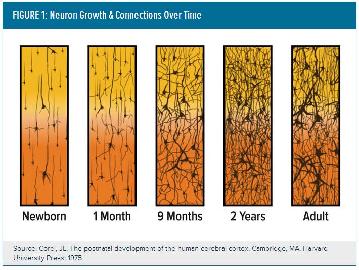 Healthy Food improves brain function Kellie Morrill 