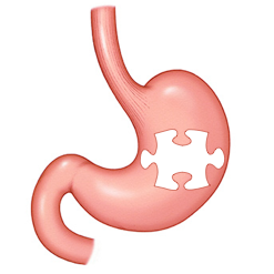 paleo diet and autism