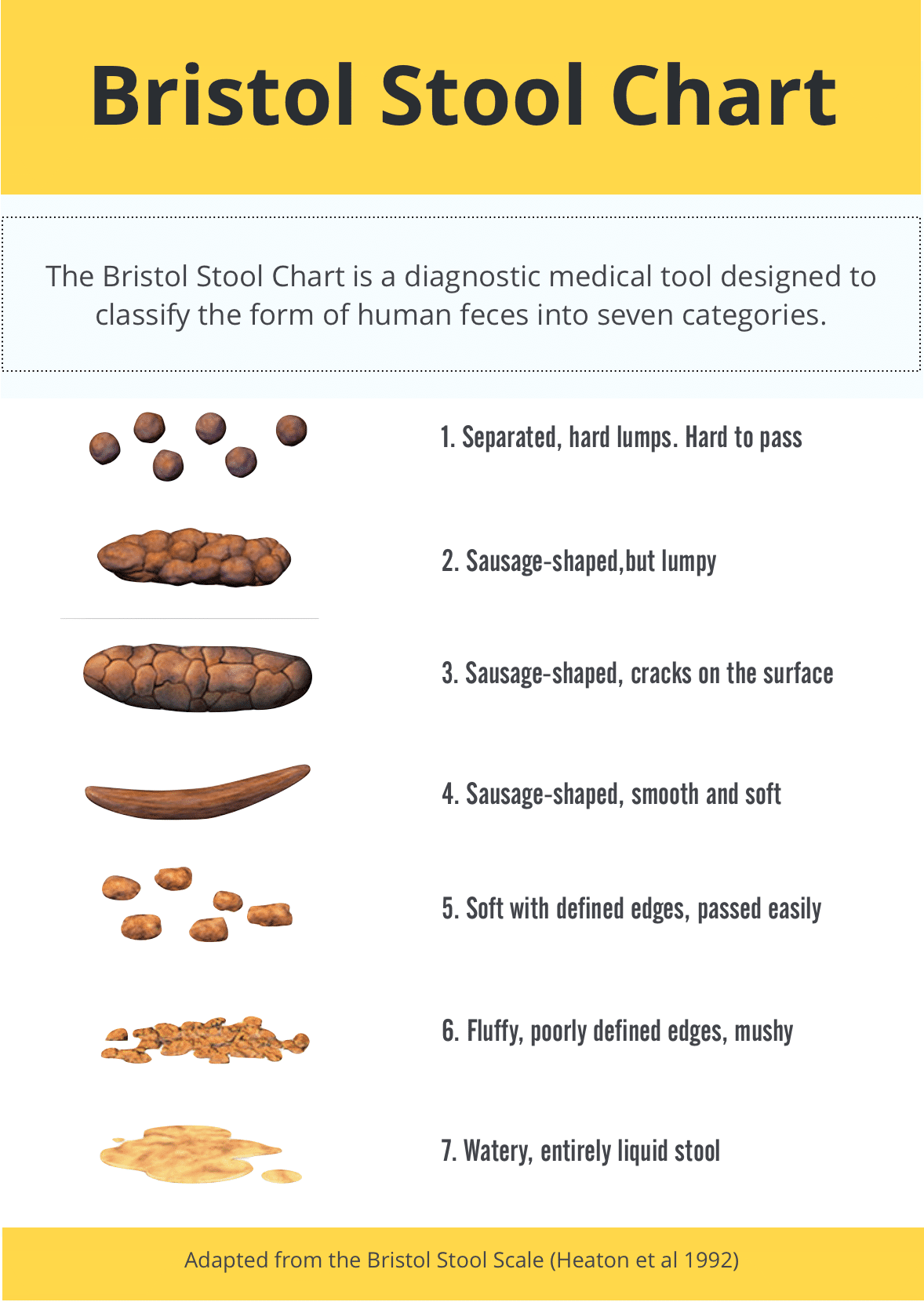 Bristol Stool Chart what is your paleo poop telling you