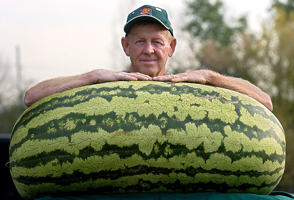 world's largest watermelon 5 things you didn't know about watermelons