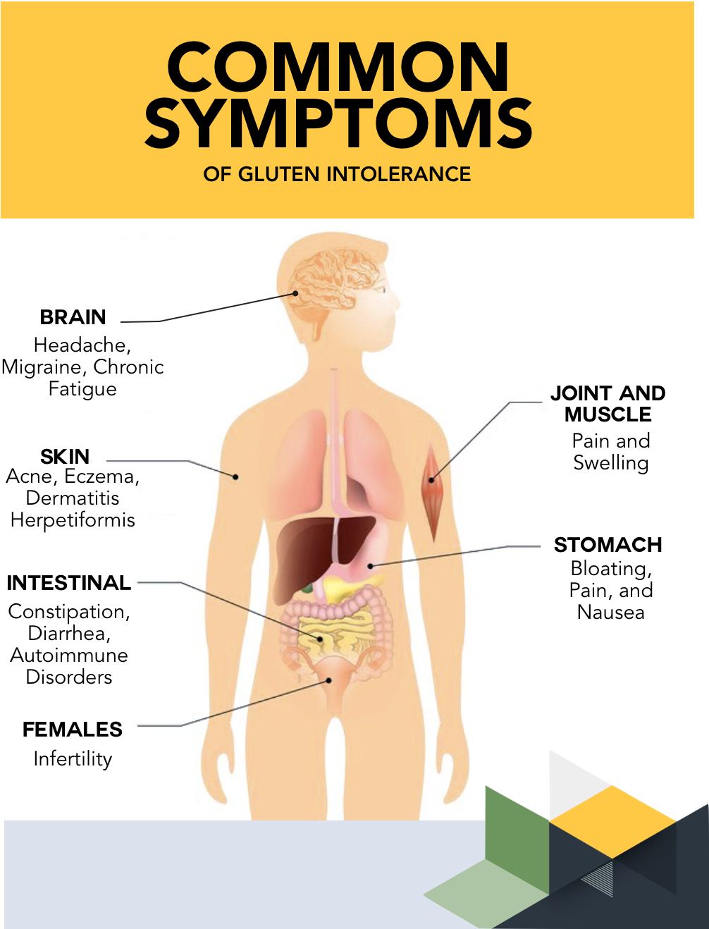 Can Gluten Cause Digestive Problems