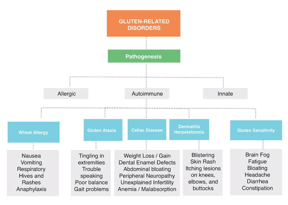 Gluten Sensitivity vs Allergy and Autoimmune Disease
