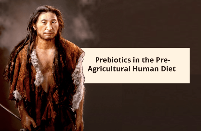 Prebiotics in the pre-agricultural human diet