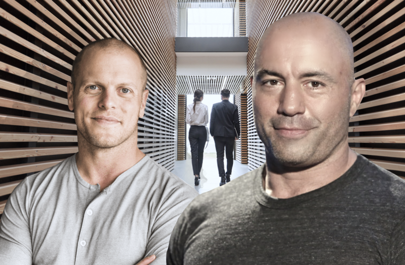 How Joe Rogan and Tim Ferriss made Keto Mainstream