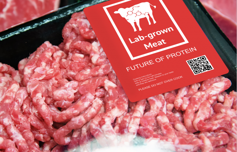 Lab Grown Food The Future of Sustainable Food Systems