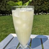 Fresh Fizz Mojito Fresh Fizz Mojito